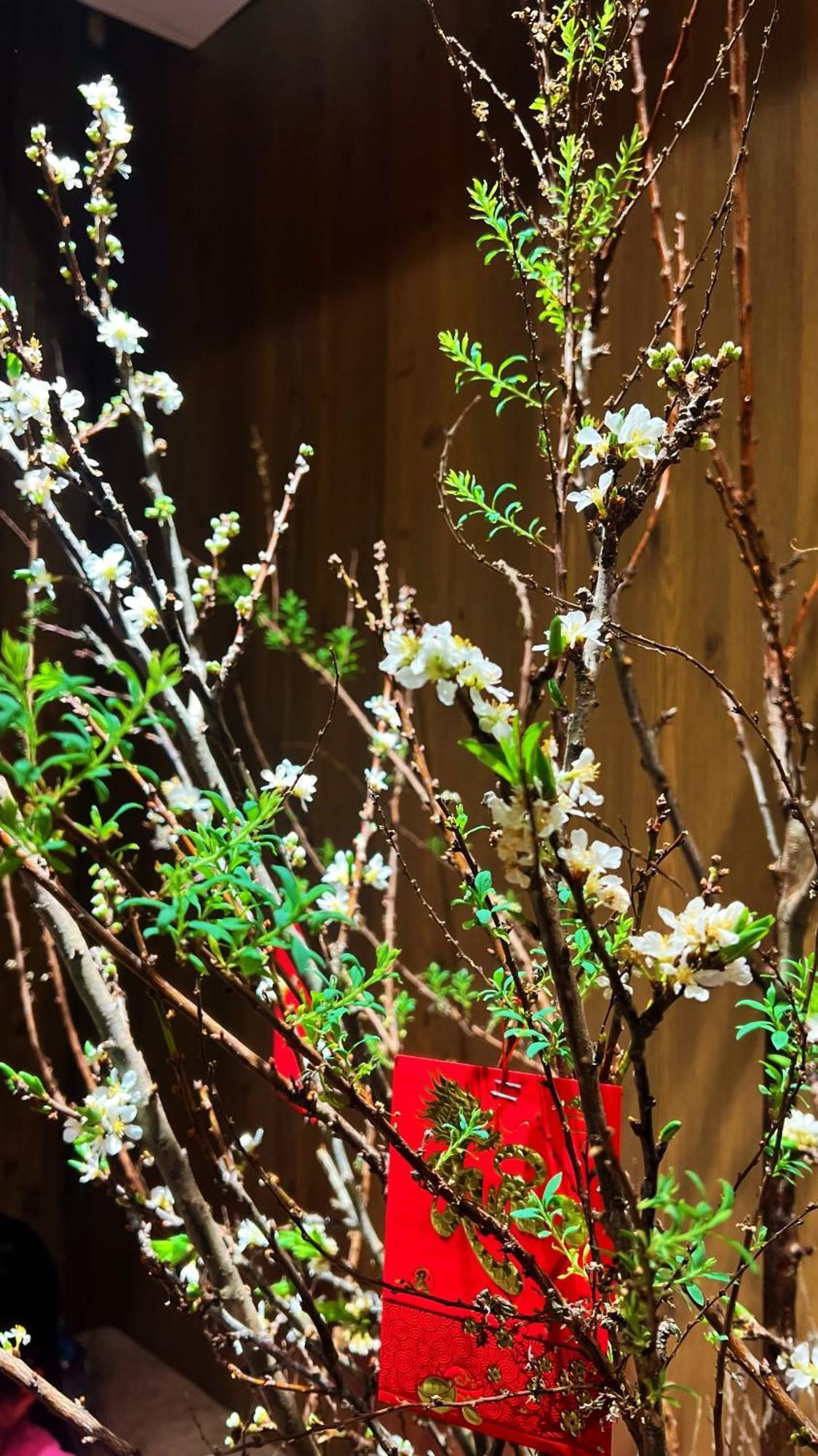 Rosa Zen Hotel Spa Хошимин Екстериор снимка